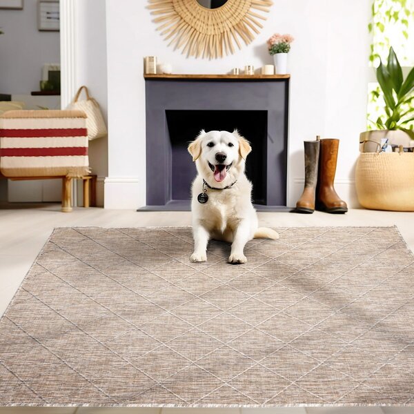 Bež vanjski tepih 120x170 cm Zagora – Ayyildiz Carpets