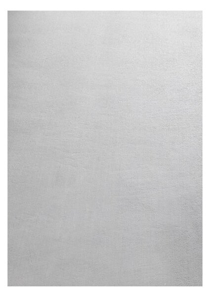 Svijetlo sivi periv tepih 120x170 cm Sky – Ayyildiz Carpets