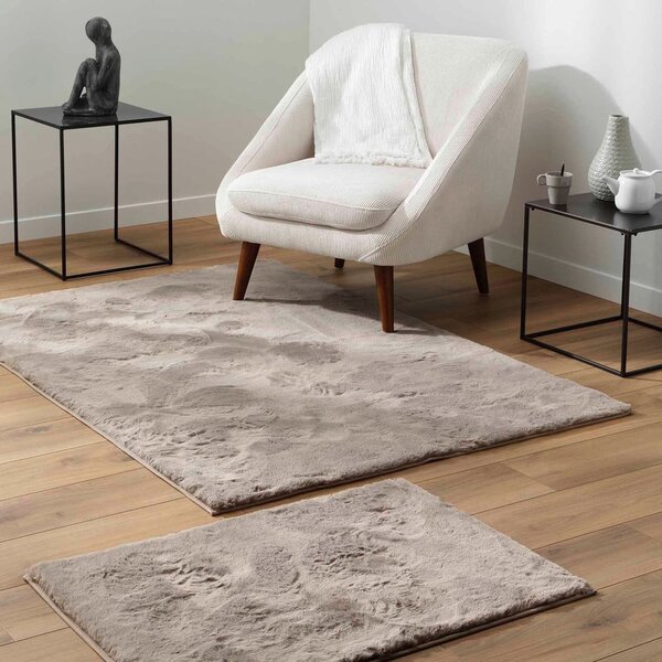 Smeđi tepih 60x90 cm Feline – douceur d'intérieur