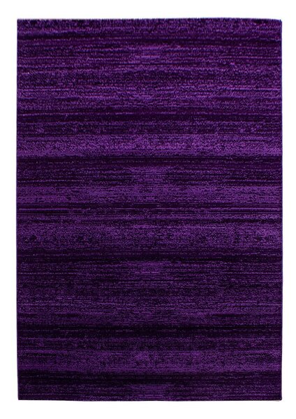 Tamno ljubičasti tepih 160x230 cm Plus – Ayyildiz Carpets