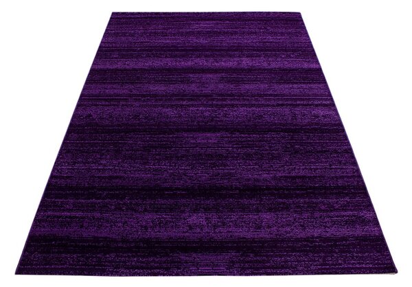 Tamno ljubičasti tepih 160x230 cm Plus – Ayyildiz Carpets