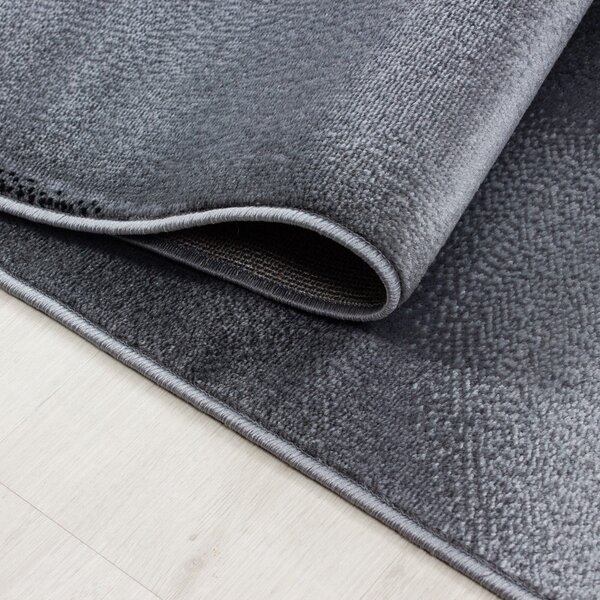Tamno sivi tepih 80x150 cm Plus – Ayyildiz Carpets
