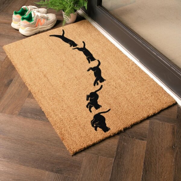 Otirač od kokosovih vlakana 40x60 cm Jumping Cats – Artsy Doormats