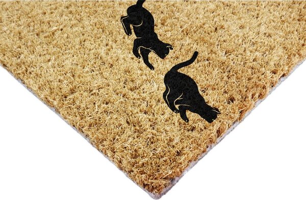 Otirač od kokosovih vlakana 40x60 cm Jumping Cats – Artsy Doormats