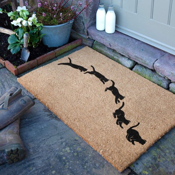 Otirač od kokosovih vlakana 40x60 cm Jumping Cats – Artsy Doormats