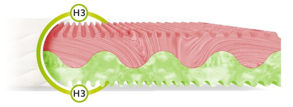 Wilsondo Madrac s profiliranom pjenom Zuno 80x200 Navlaka: AloeVera