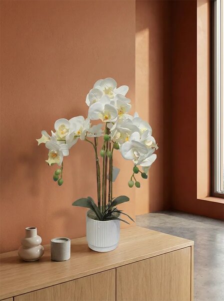 Umjetna orhideja bijela 52 cm Eterna - Bijela - 51 - 70 cm
