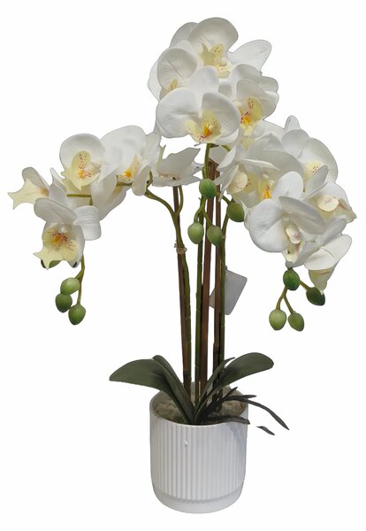 Umjetna orhideja bijela 52 cm Eterna - Bijela - 51 - 70 cm