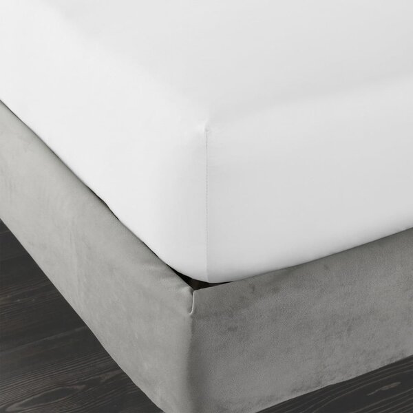 Bijela plahta s gumom od pamučnog satena 185x200 cm Cotton Sateen – Bianca