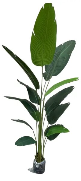 Umjetna strelicija 210 cm - 14 grana - 201 - 230 cm