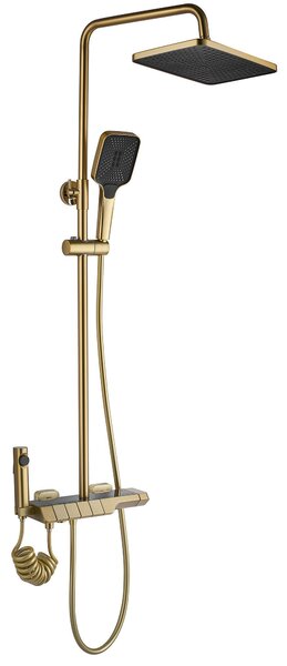 Tuš set s termostatom REA ROB Gold Brush