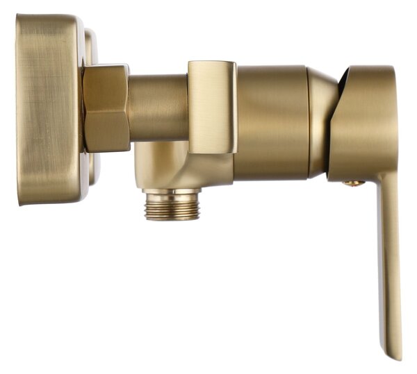 Tuš pipa REA ARGUS GOLD BRUSH