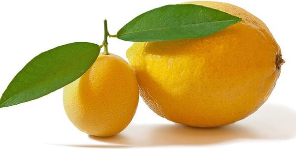 40W Citrus 700ml Citrus
