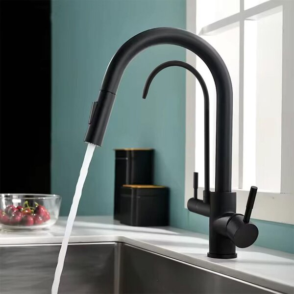 Kuhinjska slavina Rea Eco Fresh Black matt
