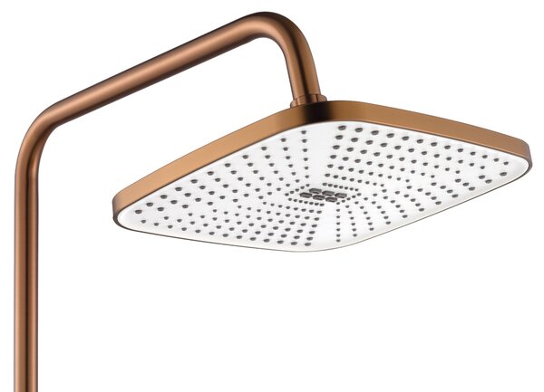 Tuš set MY2021-77C REA ARGUS COPPER BRUSH