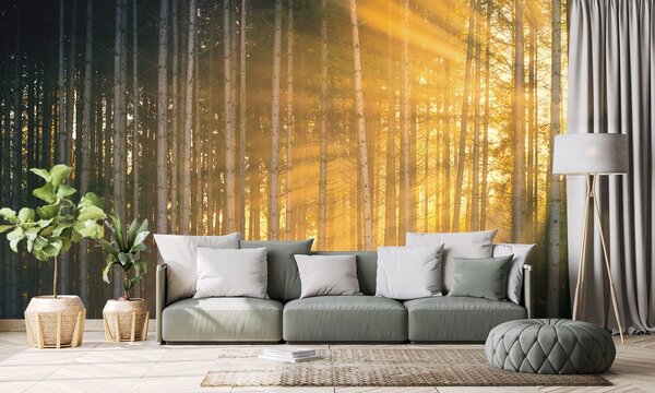 Fototapeta sunce iza stabala