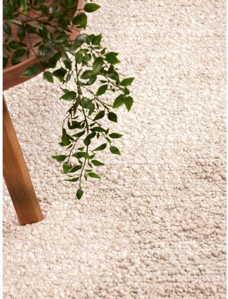 Krem ručno rađen tepih od boucle tkanine 200x290 cm Notting Hill Portobello – Ted Baker