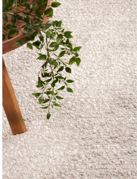 Ručno rađen tepih od boucle tkanine boje slonovače 200x290 cm Notting Hill Portobello – Ted Baker