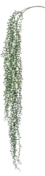 Plezaljka 95cm Senecia - 91 - 120 cm