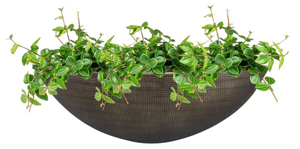 Vaza za cvijeće Rowen siva - 35 cm