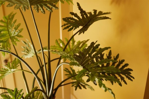 Umjetni Filodendron 125 u tegli - 121 - 150 cm