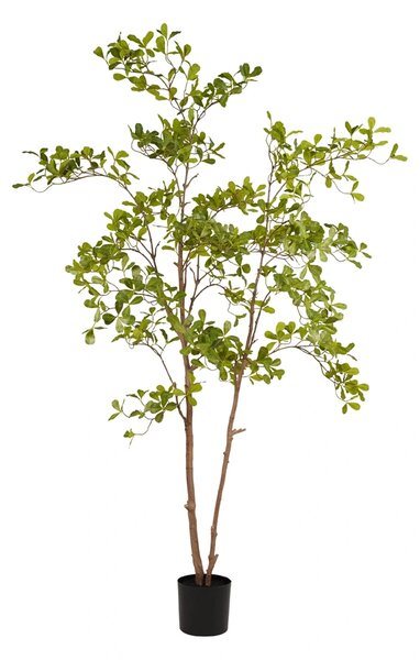 Umjetno stablo Terminalia 205 - 201 - 230 cm