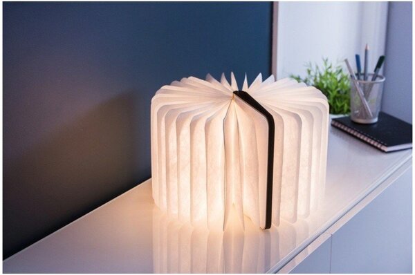 Smeđi svjetlosni ukras s USB Booklight – Gingko