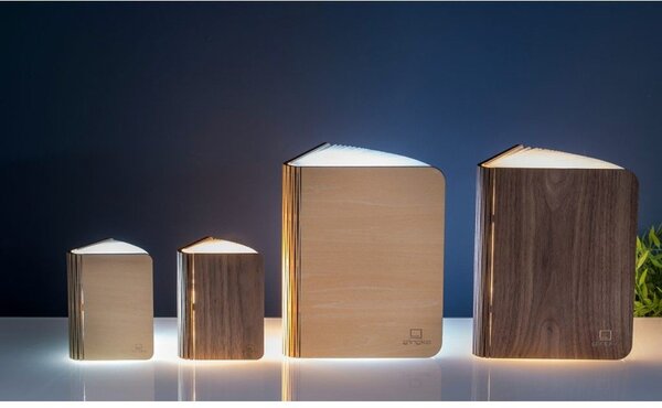 Smeđi svjetlosni ukras s USB Booklight – Gingko