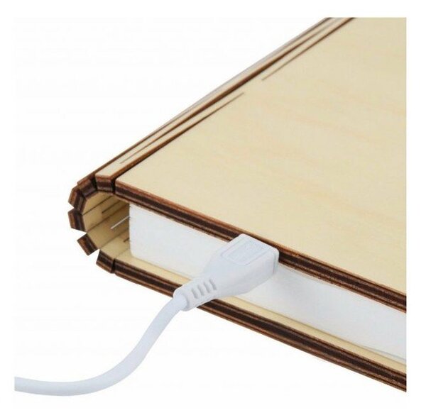 Smeđi svjetlosni ukras s USB Booklight – Gingko