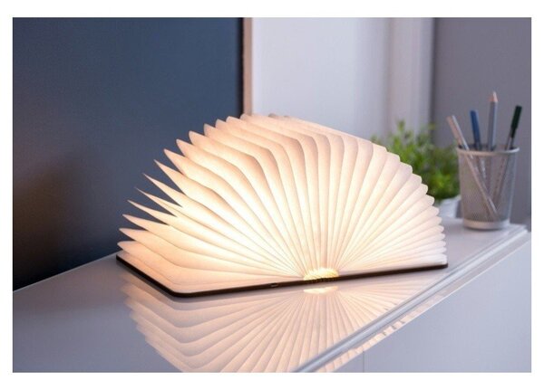 Smeđi svjetlosni ukras s USB Booklight – Gingko