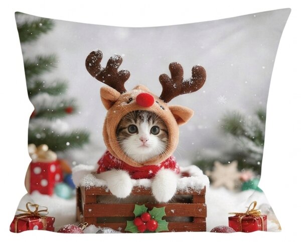 3D jastučnica od mikrovlakana RUDOLPH KITTEN 45x45 cm, šarena