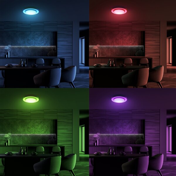 NAOMI SMART stropna svjetiljka 380 mm 24W LED RGB