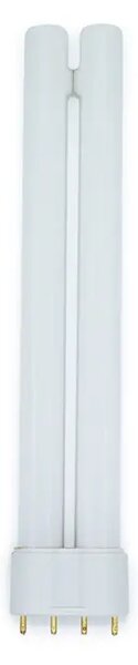FLUO ŽARULJA PL-L 2G11 36W/840 (4-pins) DULUX L 5941029895763
