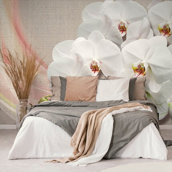 Tapeta bijela orhideja na platnu