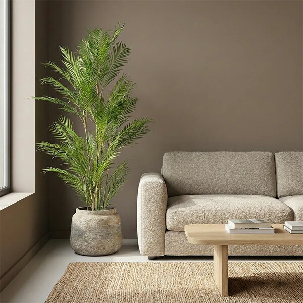 Umjetna palma Areka 180 cm - 151 - 180 cm