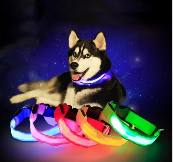 Univerzalna led svetleča ovratnica za pse in mačke - nastavljiva do 59cm akcija