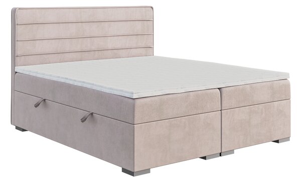 Zondo Jednostruki krevet Boxspring 120 cm Benio (svijetlo ljubičasta) (s madracem i prostorom za odlaganje). 1043349
