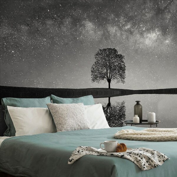 Fototapeta crno-bijelo zvjezdano nebo iznad usamljenog stabla