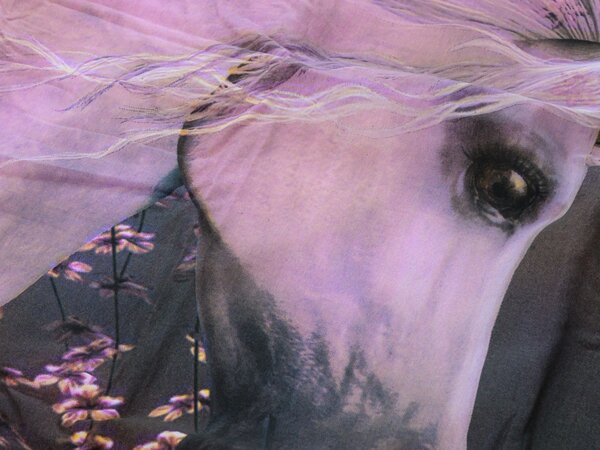 Dječja posteljina MAGIC HORSE šarena Dimenzije posteljine: 50 x 75 cm | 140 x 200 cm