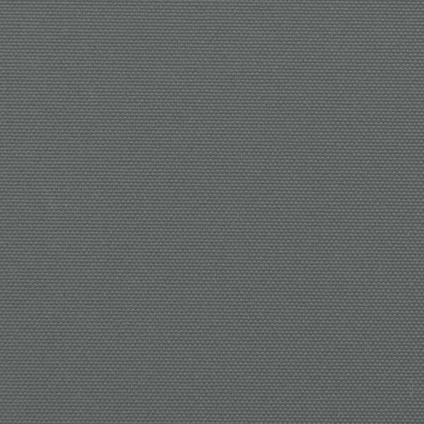 Uvlačna bočna tenda antracit boje 200x300 cm - Antracitno siva / 200 x 300 cm