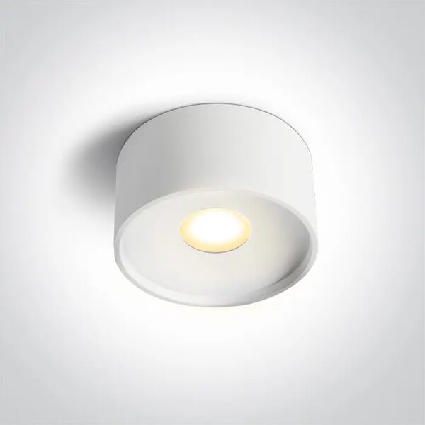 STROPNA LED SVJETILJKA BIJELA 12W CCT IP20 230V 960lm DM12112F/W/V
