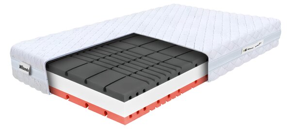 Wilsondo Pjenasti madrac s 2 jastuka Amico 140x200x22 - Navlaka Silver