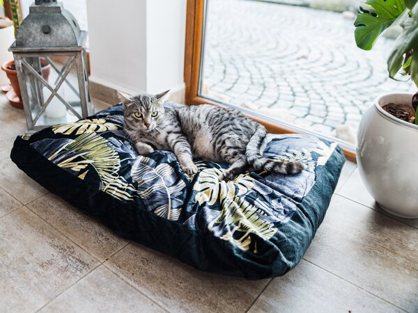 Mekani jastuk za psa ROYAL PET 75x60 cm, s uzorkom