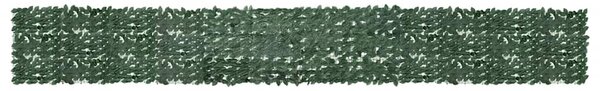 Balkonski zastor s tamnozelenim lišćem 600 x 75 cm - Zelena / 600 x 75 cm