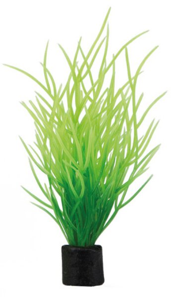 Dohse Hobby umjetno bilje Lilaeopsis mini, 7 cm