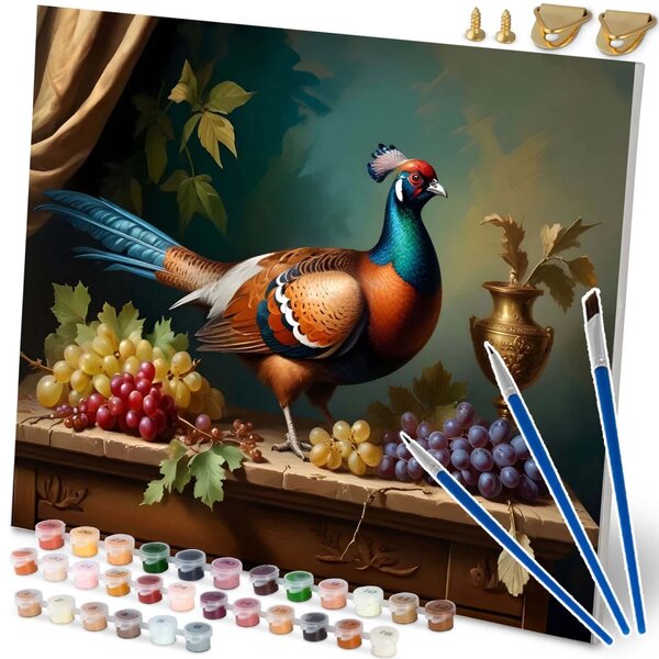 Slika po brojevima 40 × 50 cm Massido Fazan
