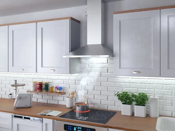 Kuhinjska napa s dimnjakom Berdsen BT-213 60 cm inox