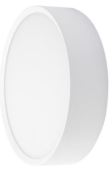 BRUMBERG EYE Open vanjska zidna LED svjetiljka, bijela, CCT, IP65, Bijela, Područje hodnika, Aluminij