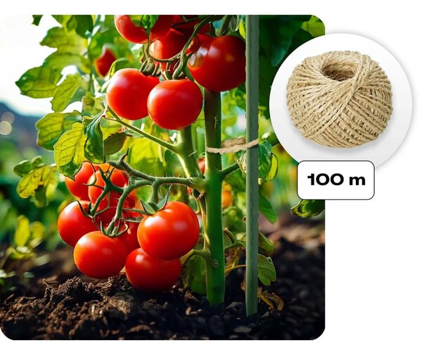 Vrtni tunel 2,5 x 4 m (10 m2) Plonos, siva
