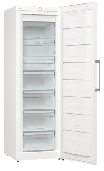 ZAMRZIVAČ GORENJE FN 619EEW5